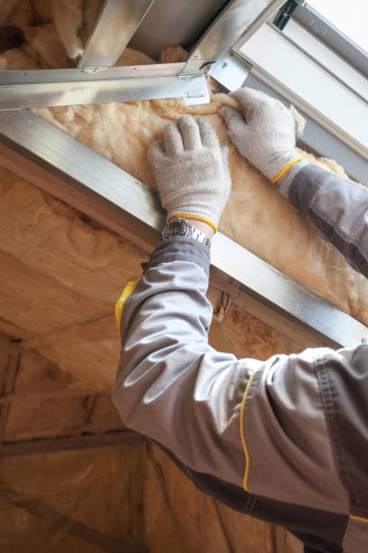 Best Commercial Insulation in Tusculum, TN